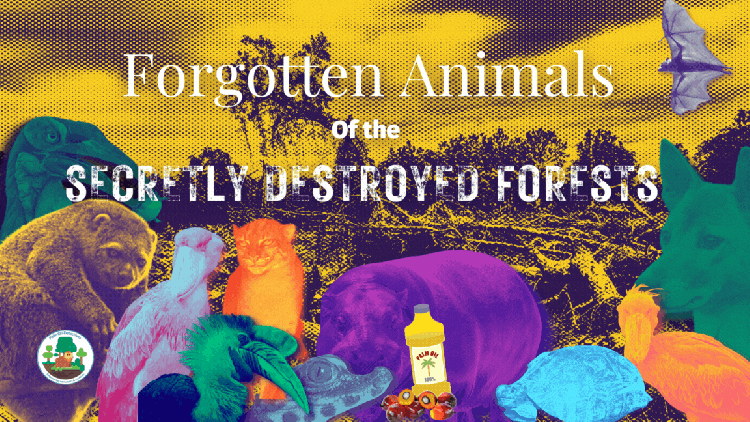 These are the forgotten animals of the secretly destroyed forests