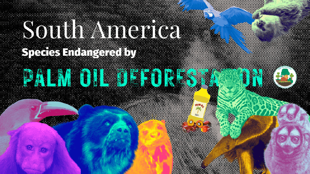 South America: Species Endangered by Palm Oil Deforestation