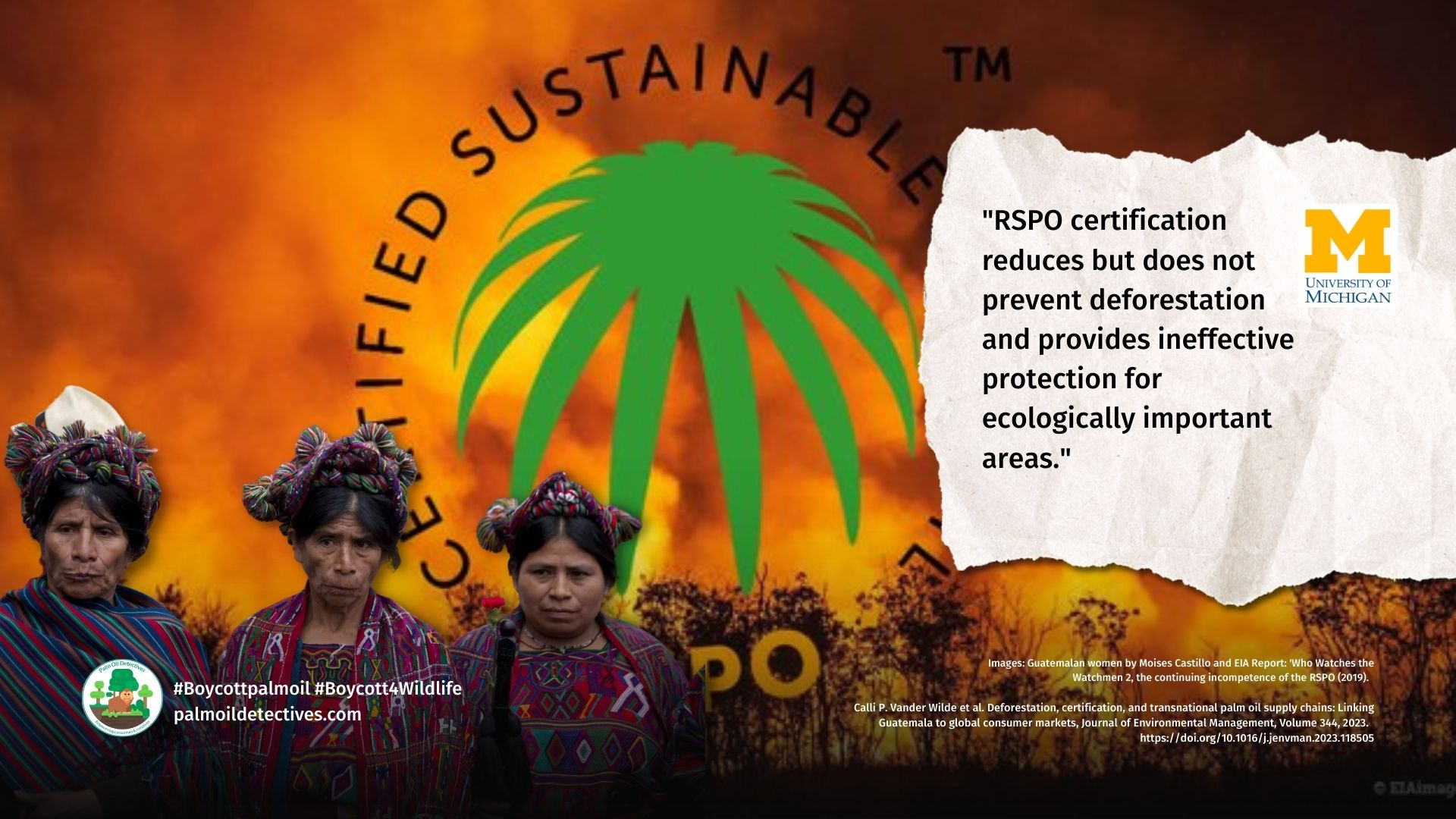 University of Michigan study finds that RSPO certification does not prevent palm oil deforestation