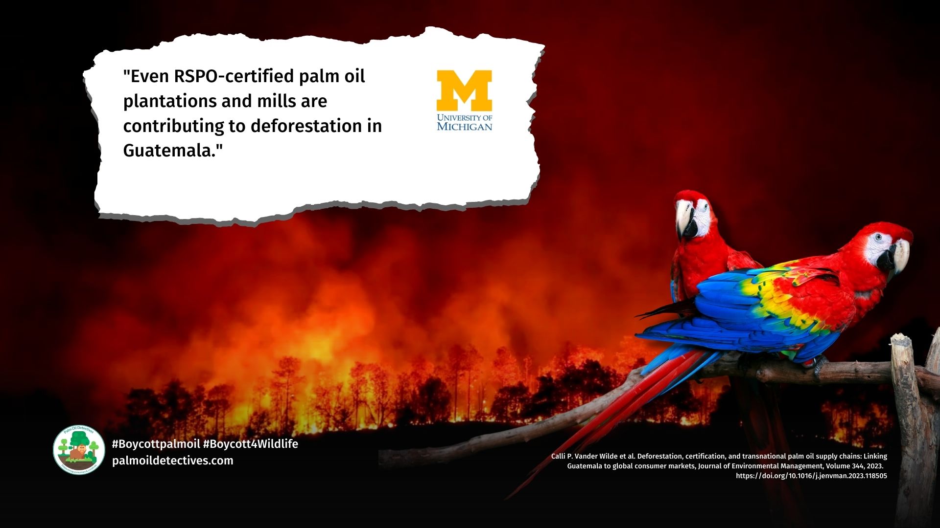 Global brands using RSPO certified palm oil such as Nestle, Mondelez, Grupo Bimbo and Pepsi continue to cause palm oil deforestation in Guatemala