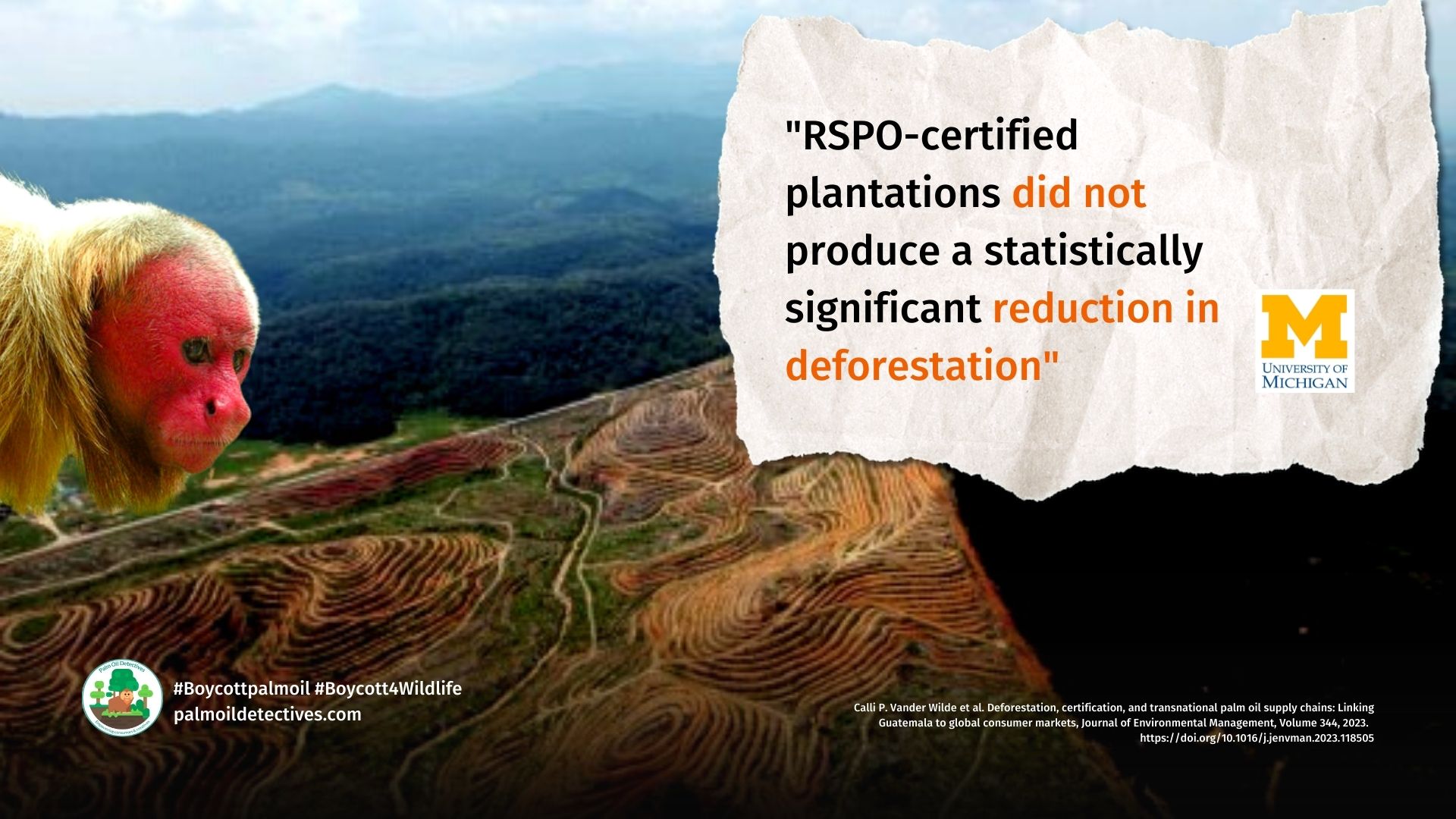 RSPO certified palm oil did not reduce deforestation found a study by the University of Michigan