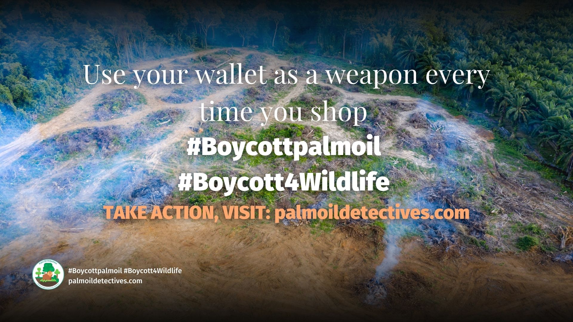 Certifying products as sustainable is no panacea - Uni Michigan 2023 - take action by boycotting palm oil!