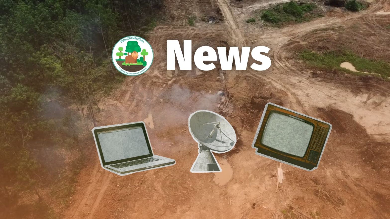 Palm Oil Detectives News