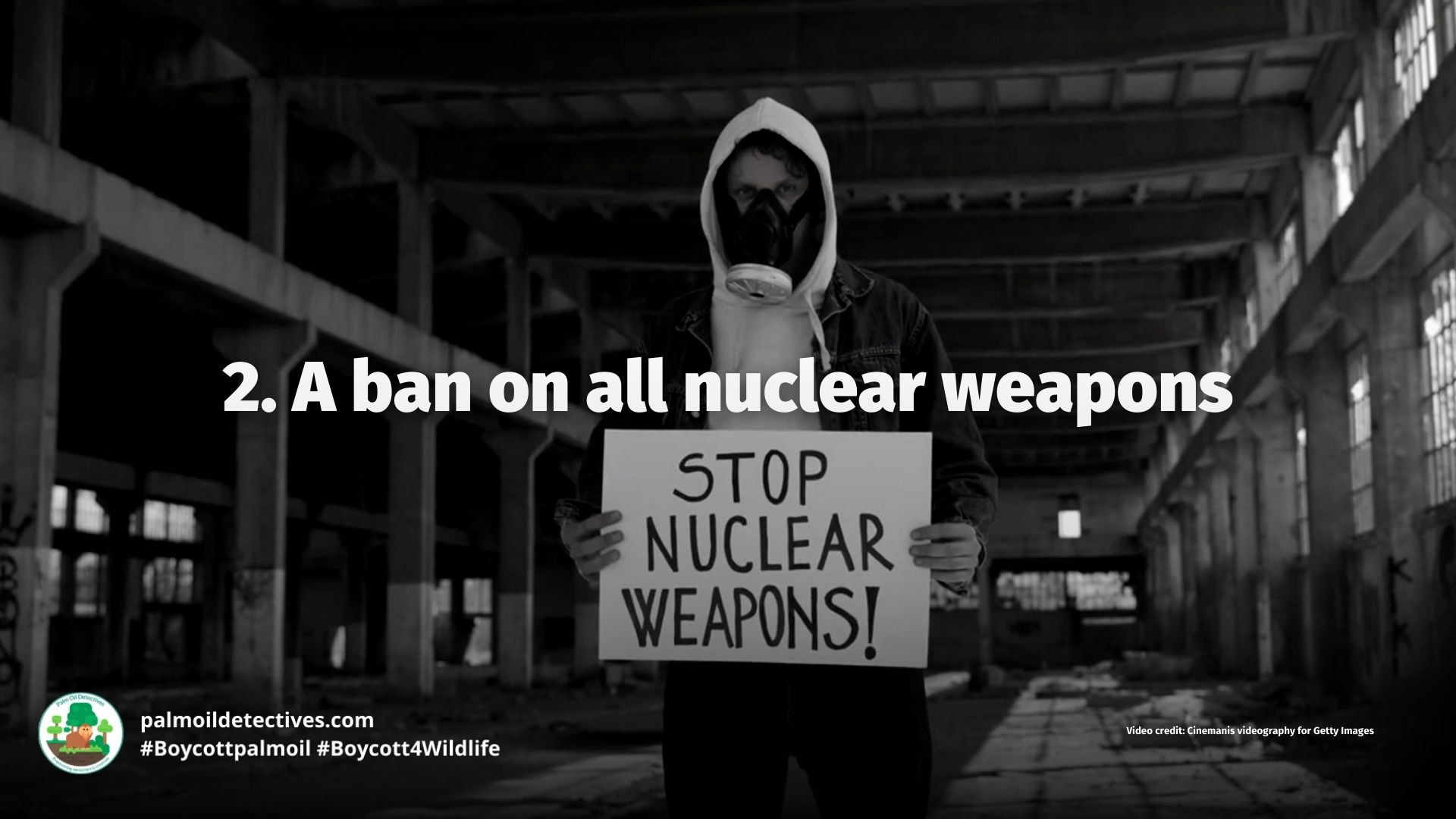 A ban on all nuclear weapons