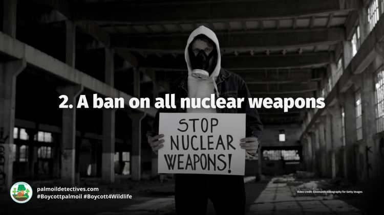 A ban on all nuclear weapons
