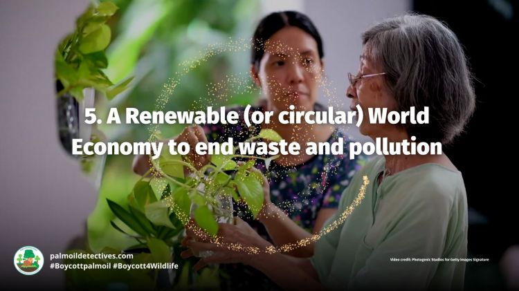 A Renewable (or circular) World Economy to end waste and pollution