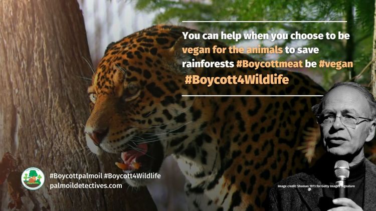 Singer - We are gambling with the future of our planet for hamburgers