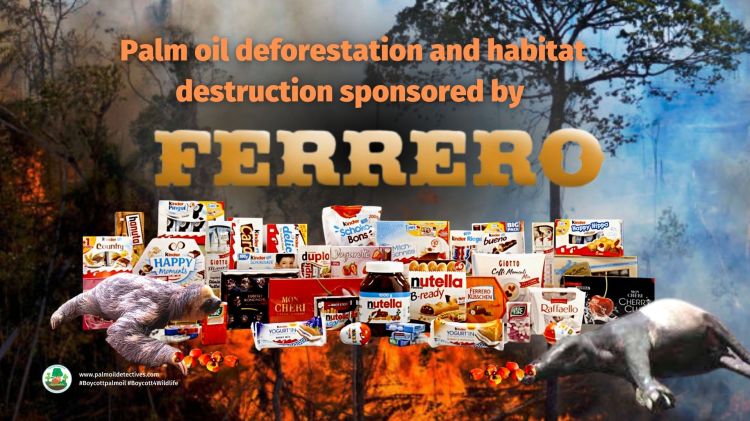 Boycott ferrero cover image