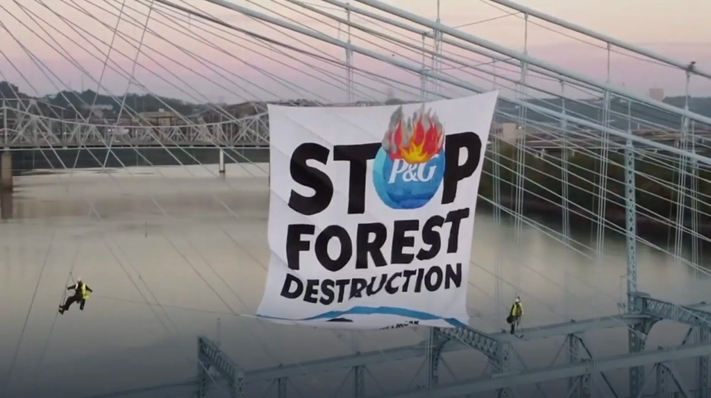 Activists in Cincinnati, Ohio shut down John A. Roebling Bridge on October 4th, 2023 in the lead-up to Procter & Gamble's AGM. 

The FMCG giant is strongly linked to deforestation and humanrights abuses for palmoil, despite being a member of the RSPO and using so-called "sustainable" palm oil. The RSPO does nothing but grease the way for greenwash.
