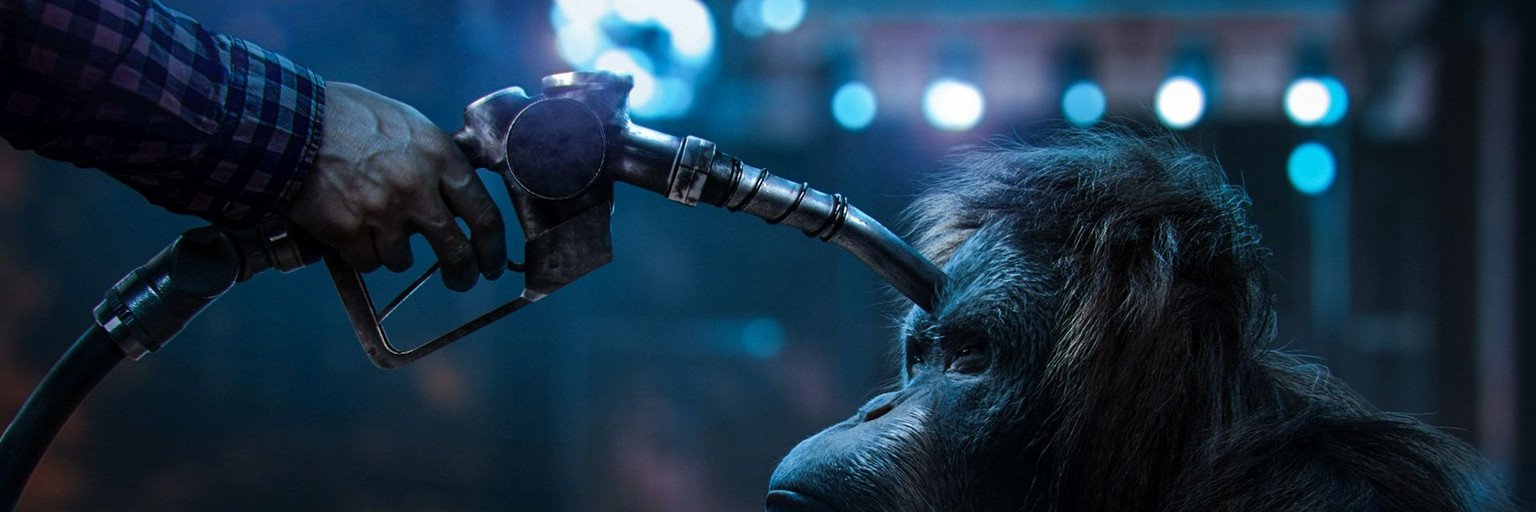 Orangutan fights against palm oil used in greenwashing biofuel