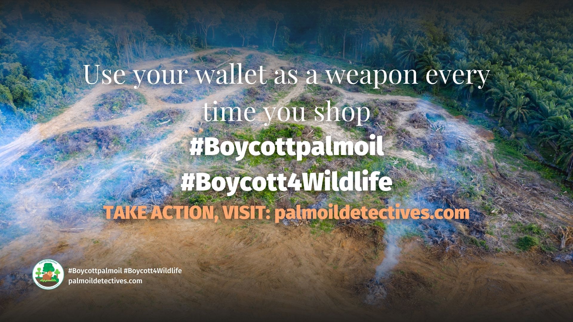 Palm Oil Greenwashing Chiapas Mexico - take action and #Boycottpalmoil!