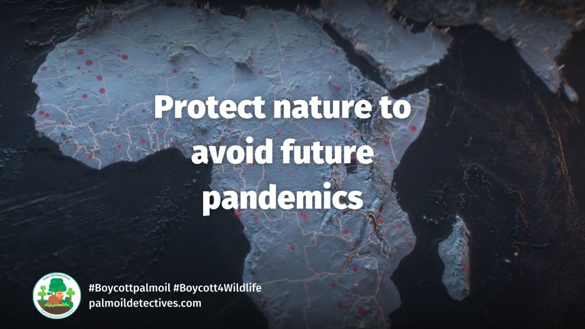Protect Nature to Avoid Future&nbsp;Pandemics