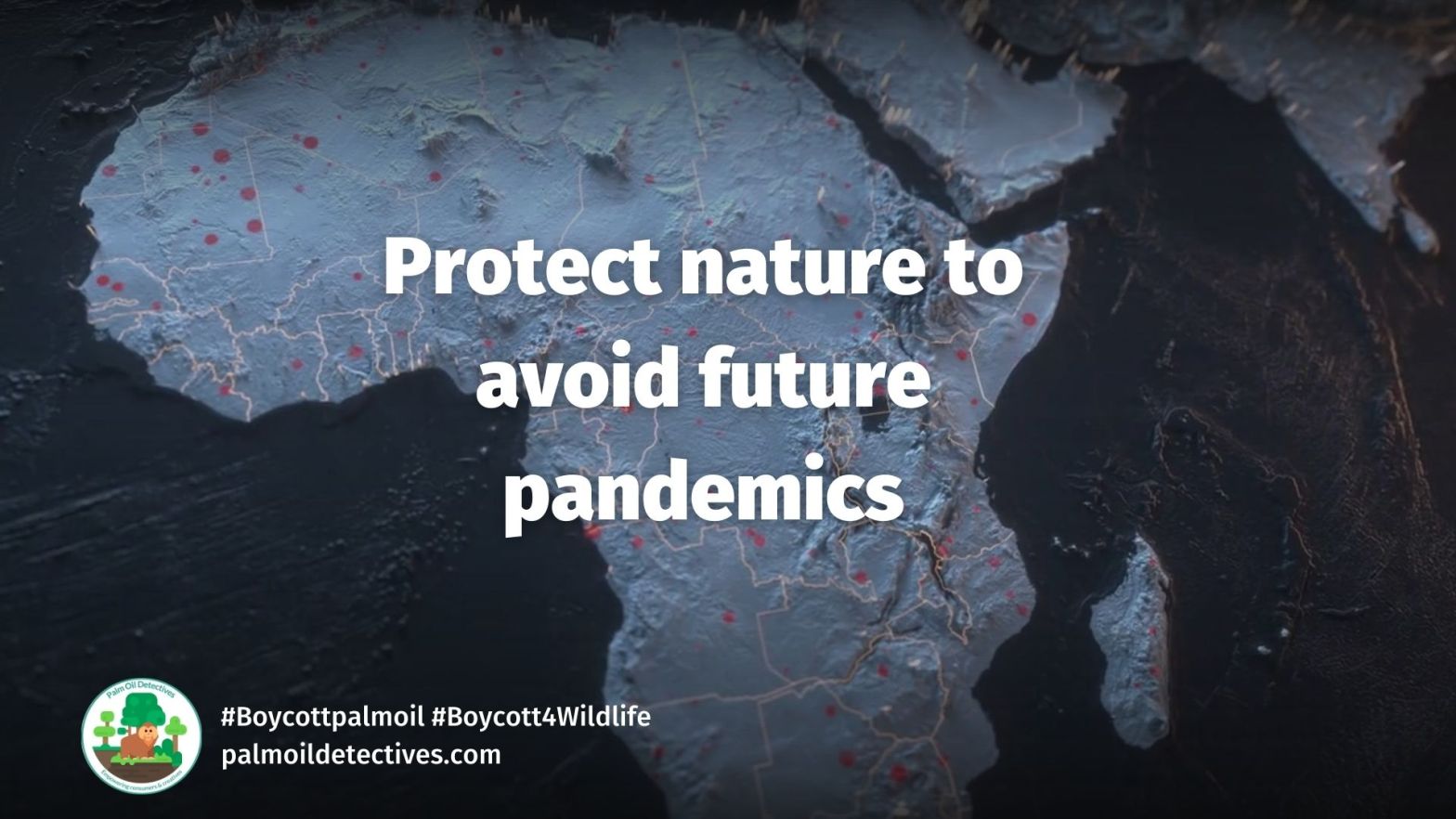 Protect nature to avoid future pandemics
