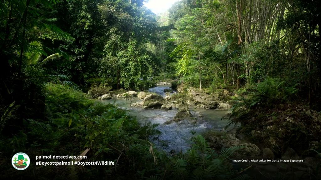 Rivers are still people 