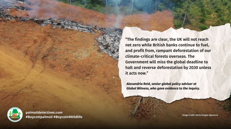 The UK's hunger for palm oil, soy and beef (2)