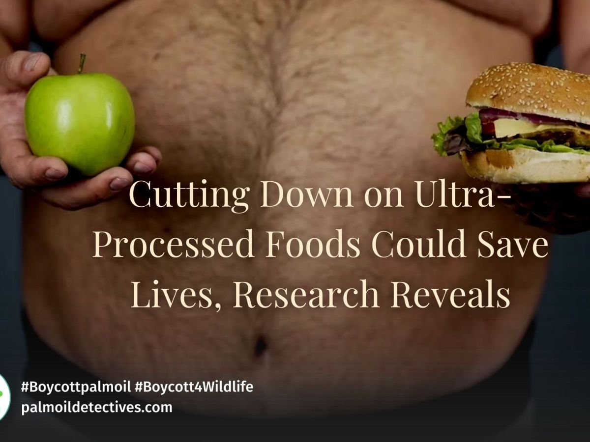 Cutting Ultra-Processed Foods Could Save&nbsp;Lives