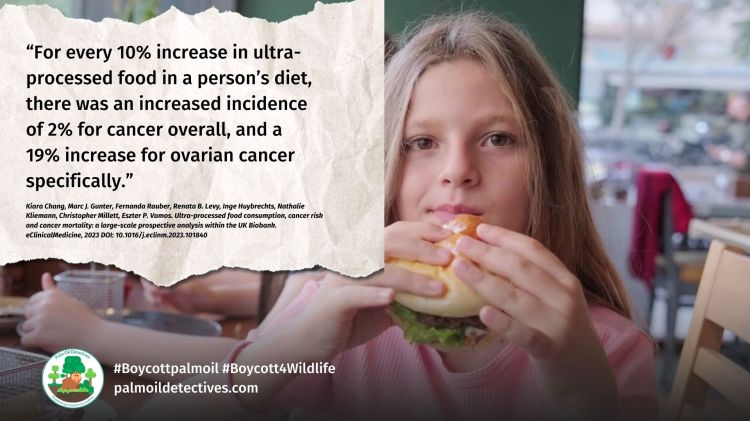 Cutting Down on Ultra-Processed Foods Could Save Lives, Research Reveals