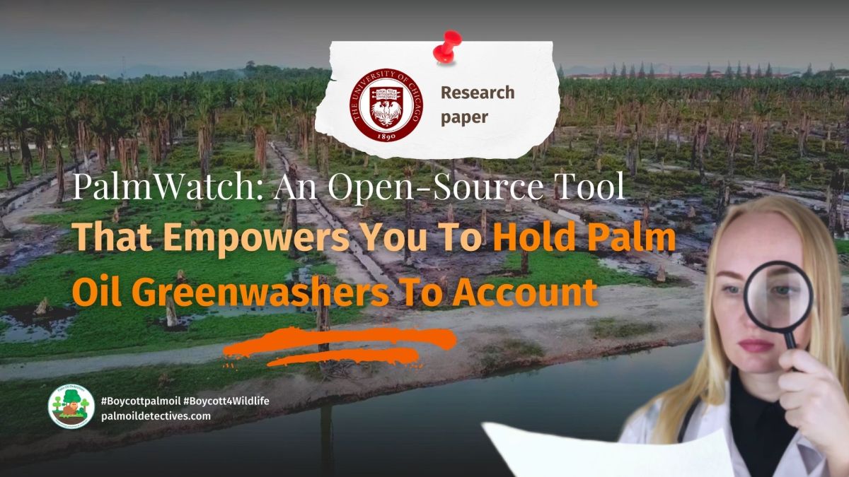 PalmWatch: A Tool to Hold Palm Oil Greenwashers to&nbsp;Account