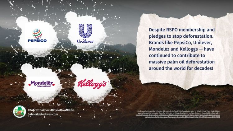 PalmWatch: An Open-Source Tool That Empowers You To Hold Palm Oil Greenwashers To Account