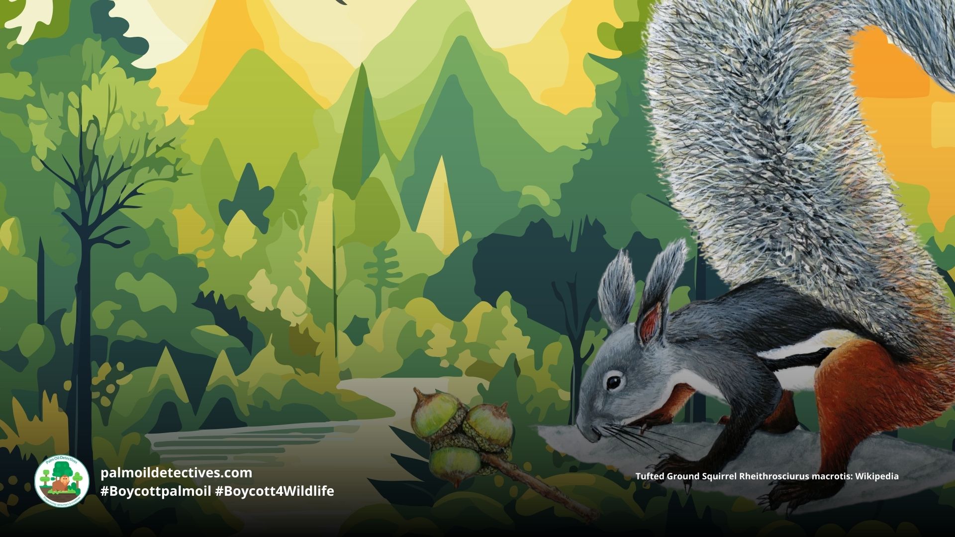 Tufted Ground Squirrel Rheithrosciurus macrotis - Asia