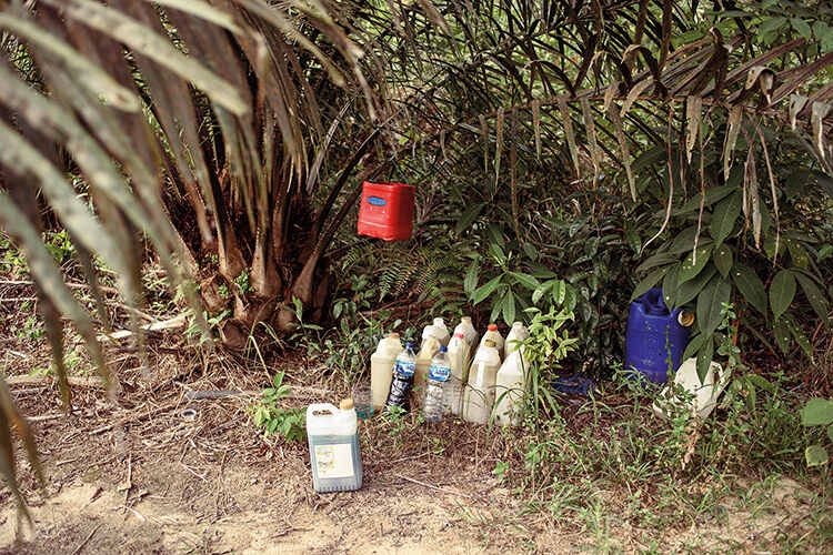 Bottles of paraquat and pesticide - Image: Daniela Sala | Paraquat: Banned in EU, Destroying Lives of Palm Oil Workers in Indonesia