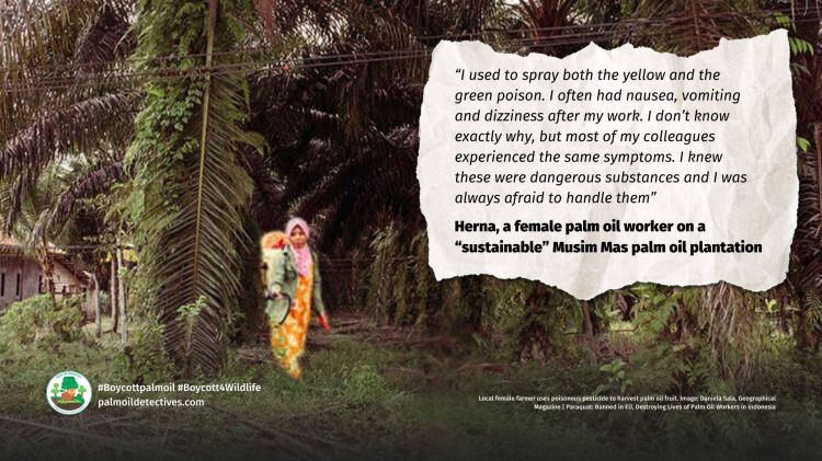 Paraquat: Banned in EU, Destroying Lives of Palm Oil Workers in Indonesia | Herna's story 
