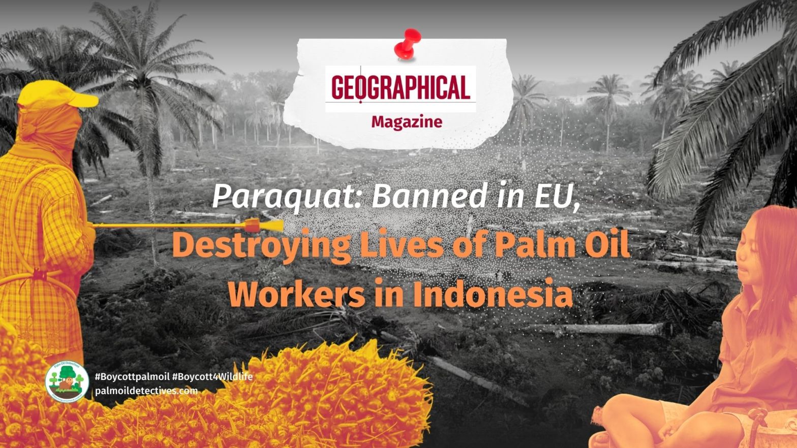 Paraquat: Banned in EU, Destroying Lives of Palm Oil Workers in Indonesia | Opening slide