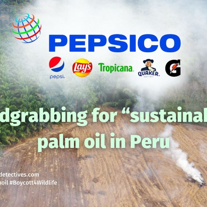 Snack giant PepsiCo allegedly sourced “sustainable” palm oil from razed Indigenous land in&nbsp;Peru