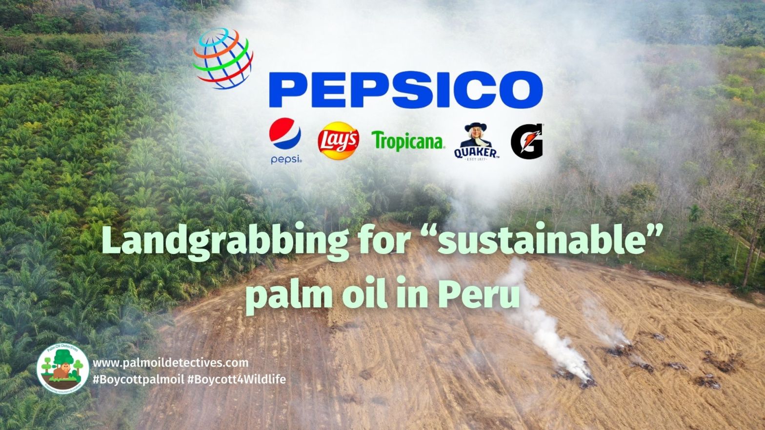 Pepsico landgrabbing in Peru for palm oil (2)