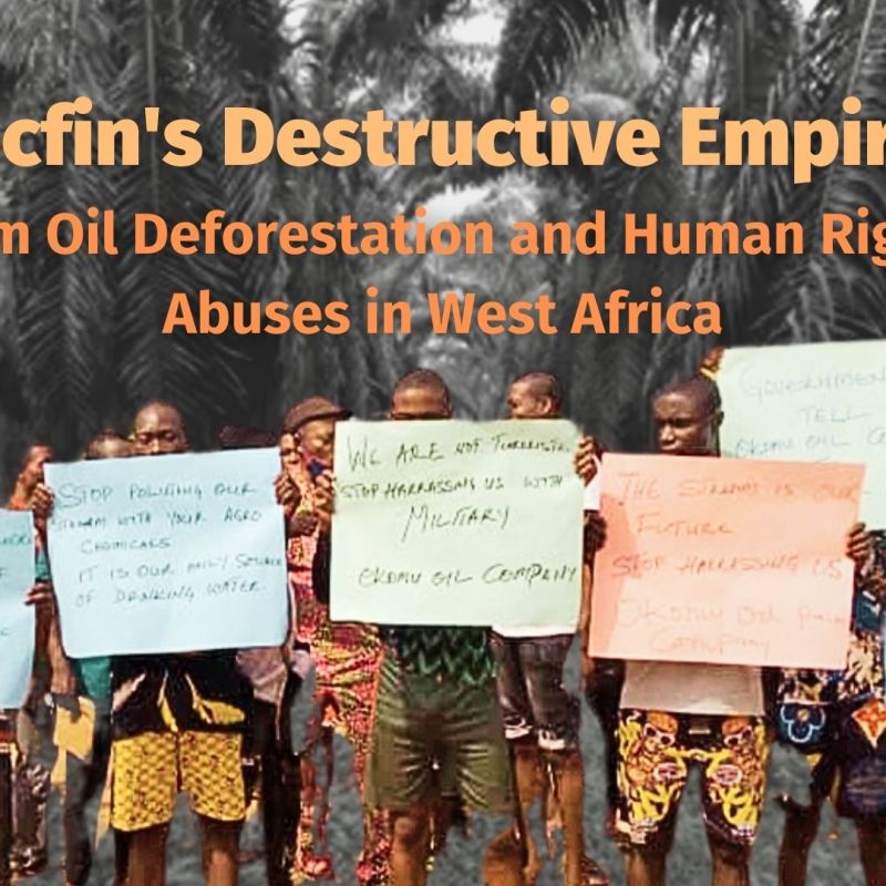 Unmasking Socfin’s Destructive Palm Oil Empire in&nbsp;Africa