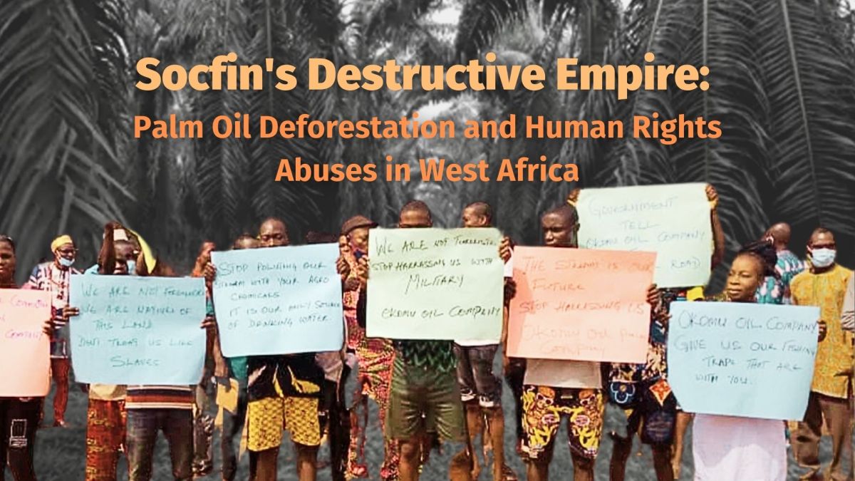 Unmasking Socfin’s Destructive Palm Oil Empire in&nbsp;Africa