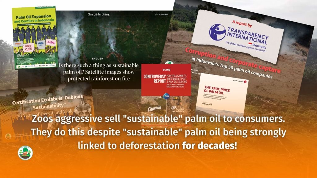 World Orangutan Day - make sure you #BoycottPalmOil #Boycott4Wildlife 