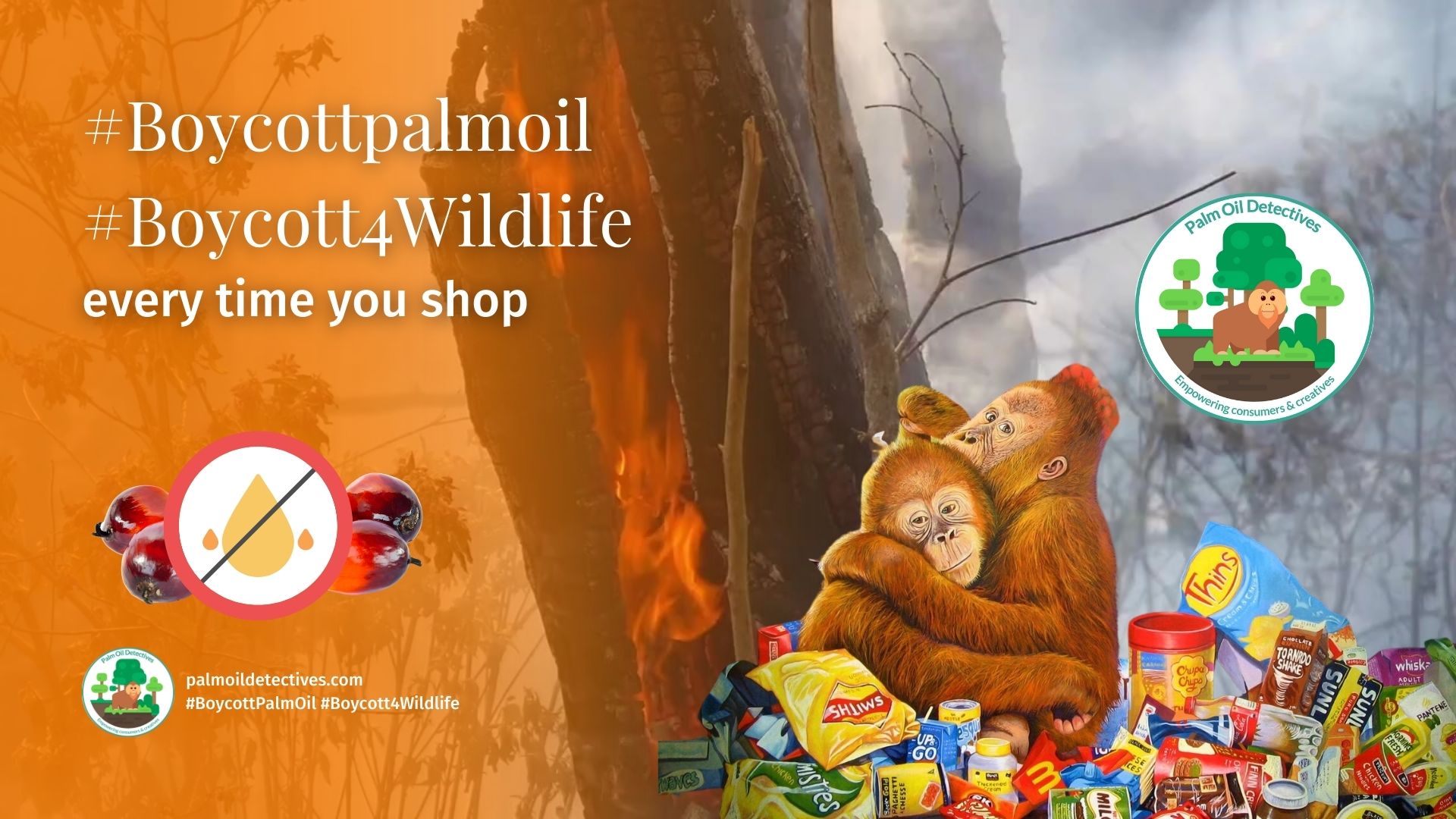 Research: AI Helps Unlock the Curious Secrets of Orangutan Chatter