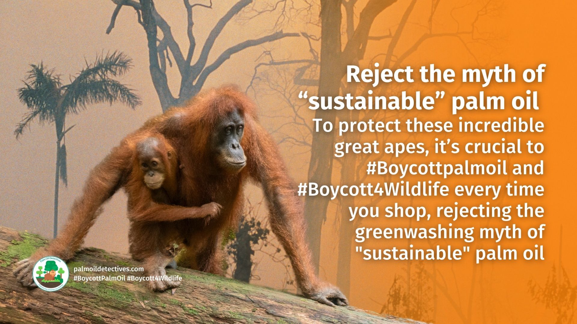 Research: AI Helps Unlock the Curious Secrets of Orangutan Chatter