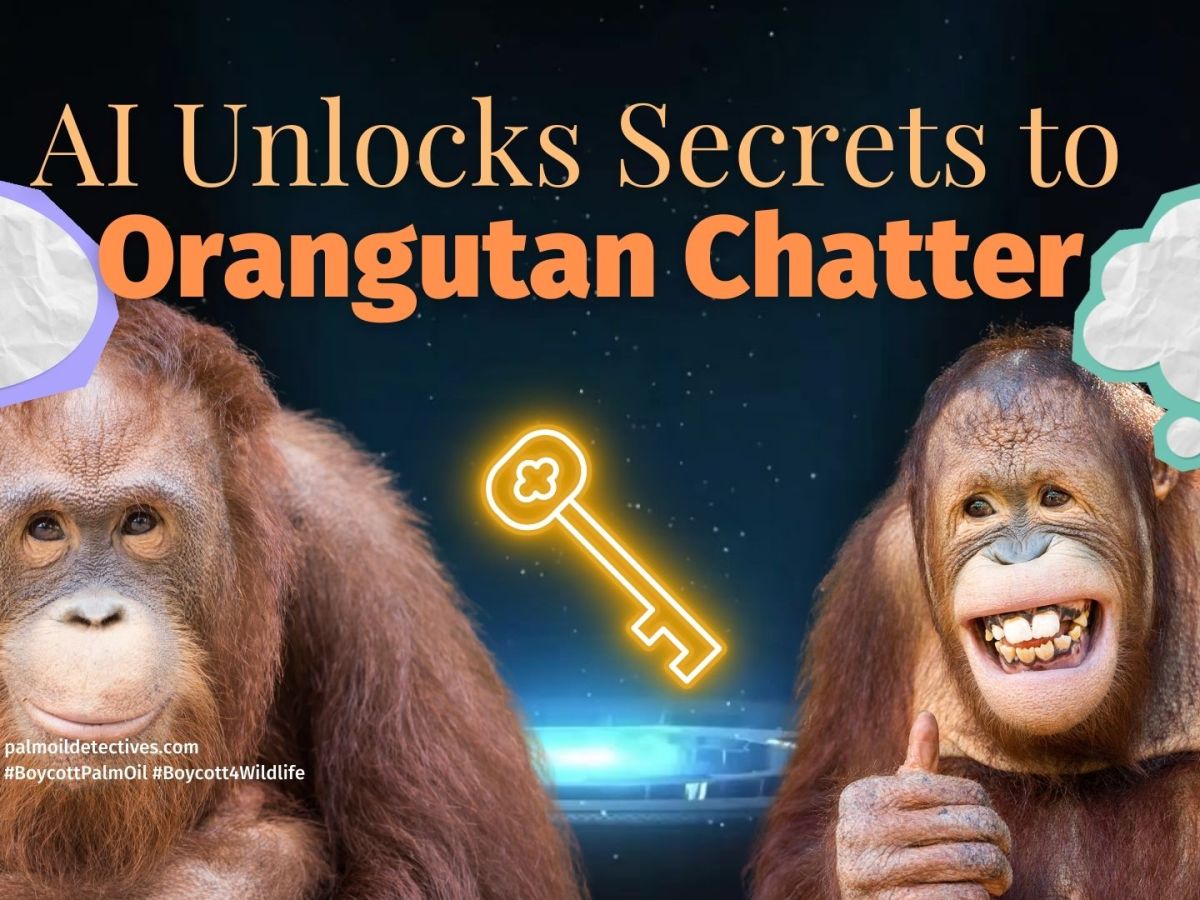 Research: AI Helps Unlock the Curious Secrets of Orangutan&nbsp;Chatter