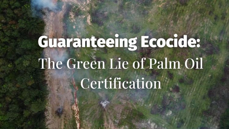 Guaranteeing Ecocide: The Green Lie of Palm Oil&nbsp;Certification
