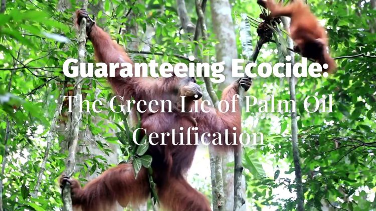 Guaranteeing Ecocide: The Green Lie of Palm Oil Certification