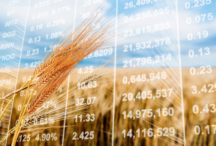 Food for financial thoughts. Billion Photos/Shutterstock