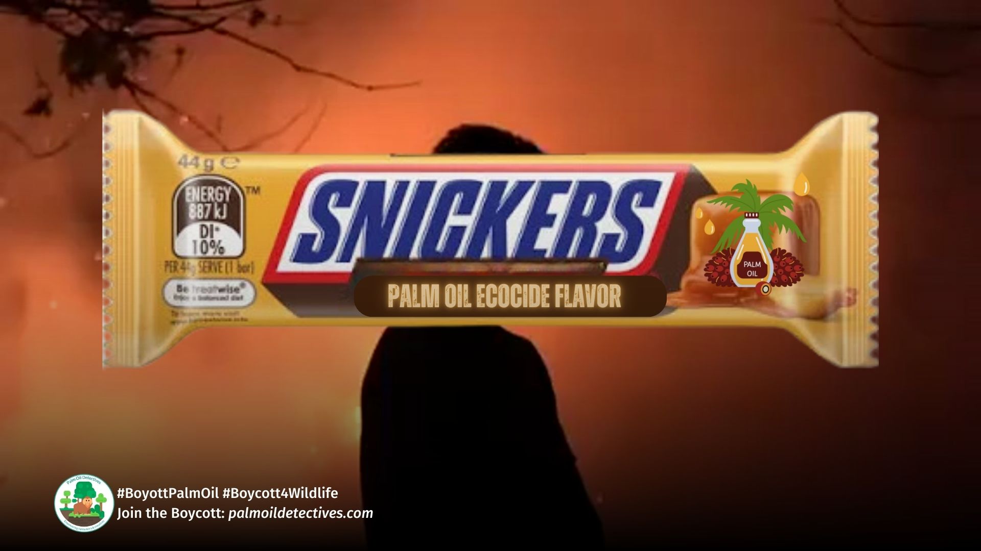 Ecosystems Sell Dirt Cheap for Palm Oil Filled Snickers and KitKat