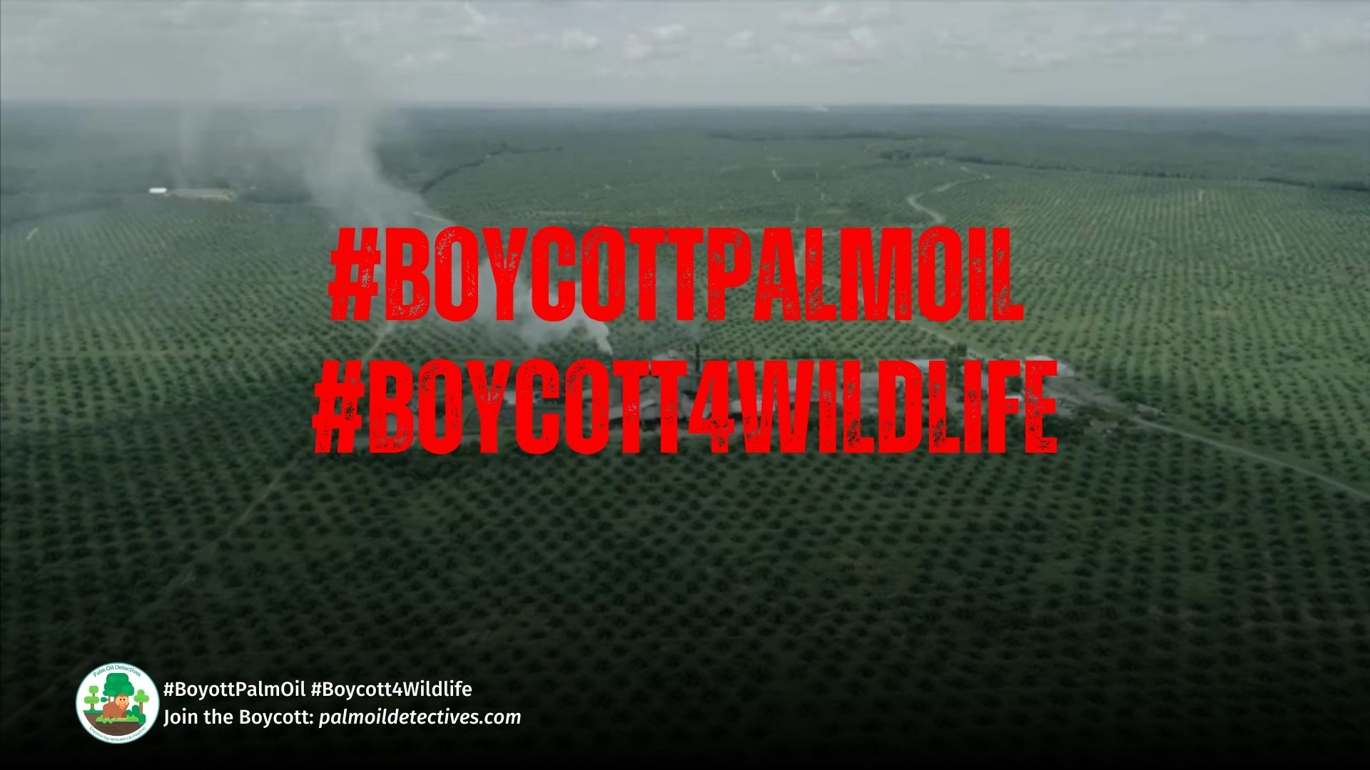 Ecosystems Sell Dirt Cheap for Palm Oil Filled Snickers and KitKat