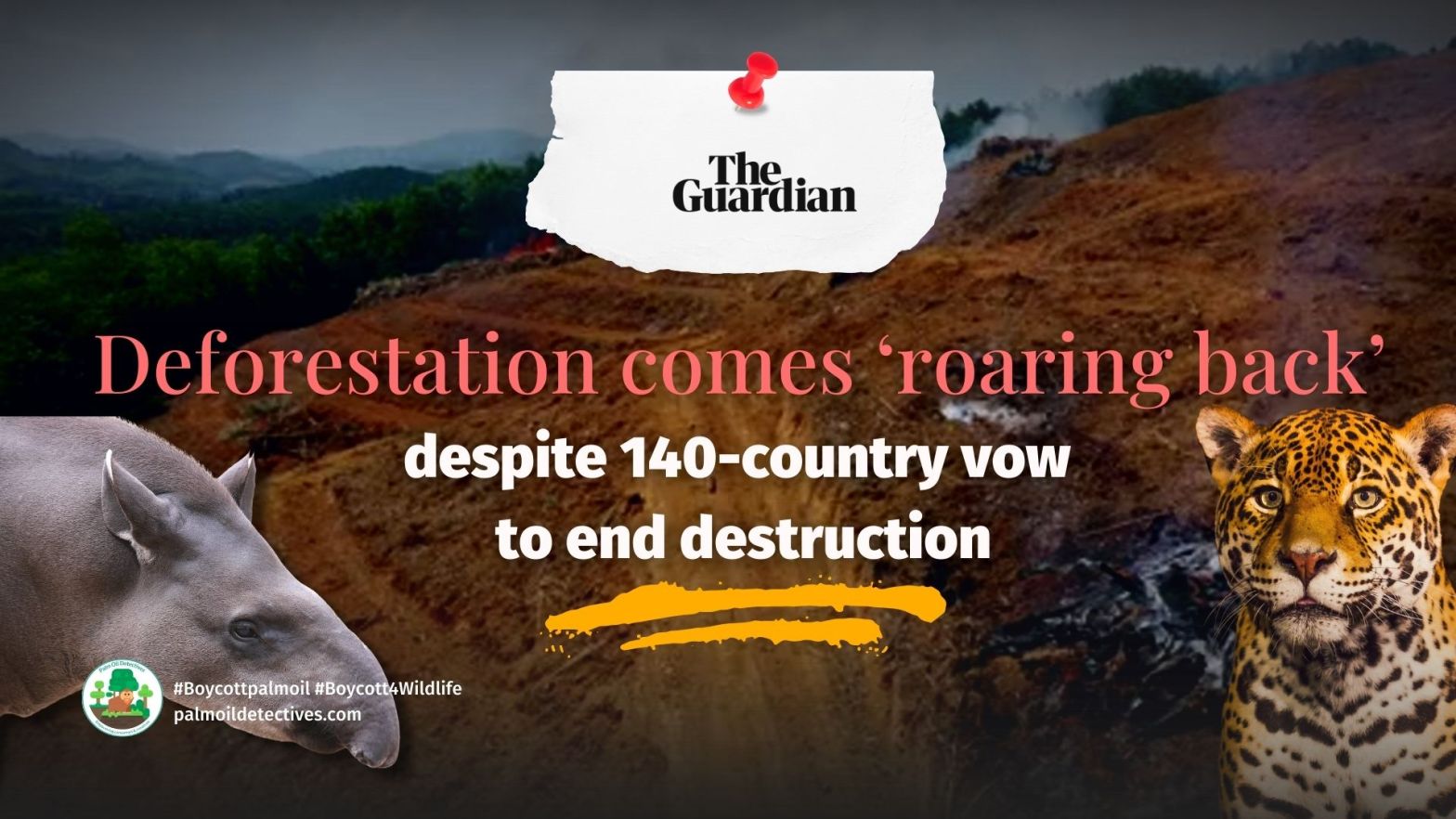 Deforestation comes ‘roaring back’ despite 140-country vow to end destruction