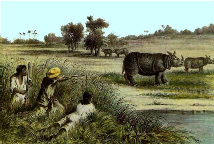 Javan Rhinos Not Safe from&nbsp;Poachers