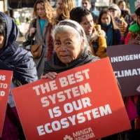 Oil palm in Latin America: monoculture and&nbsp;violence