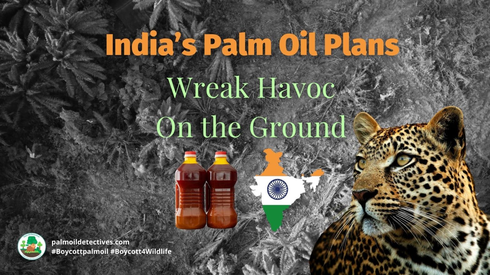 India's Palm Oil Plans Wreak Havoc on the Ground