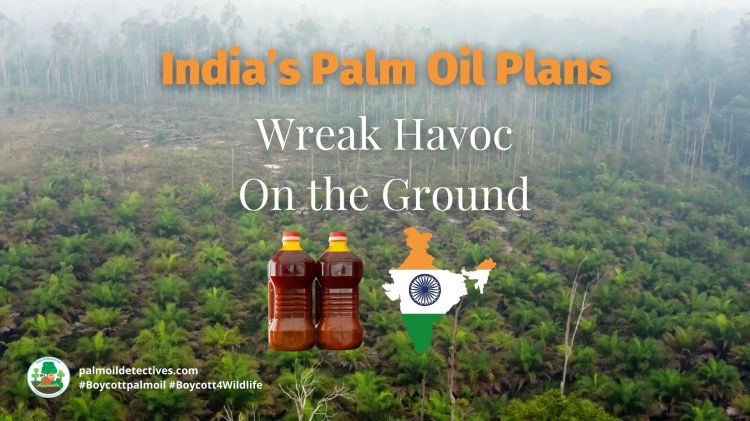 India's Palm Oil Plans Wreak Havoc on the Ground (4)