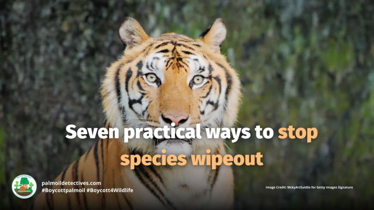 Seven practical ways to stop a species&nbsp;wipeout