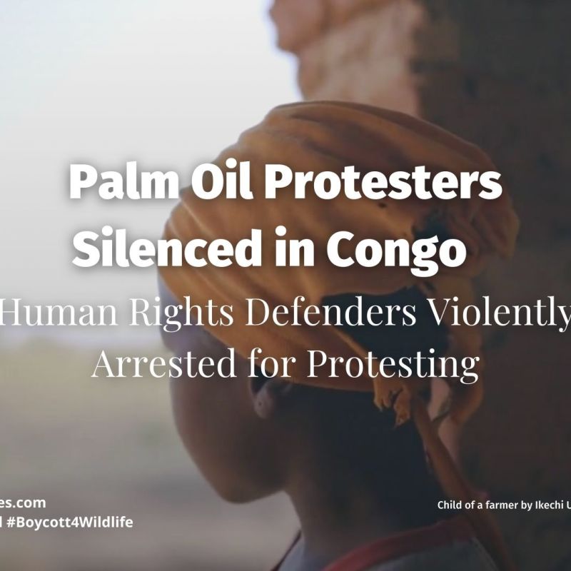 Palm Oil Protesters Silenced and Arrested in&nbsp;Congo