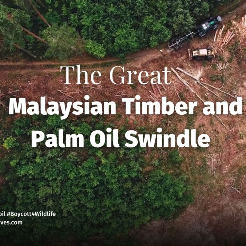 The Great Malaysian Timber and Palm Oil&nbsp;Swindle