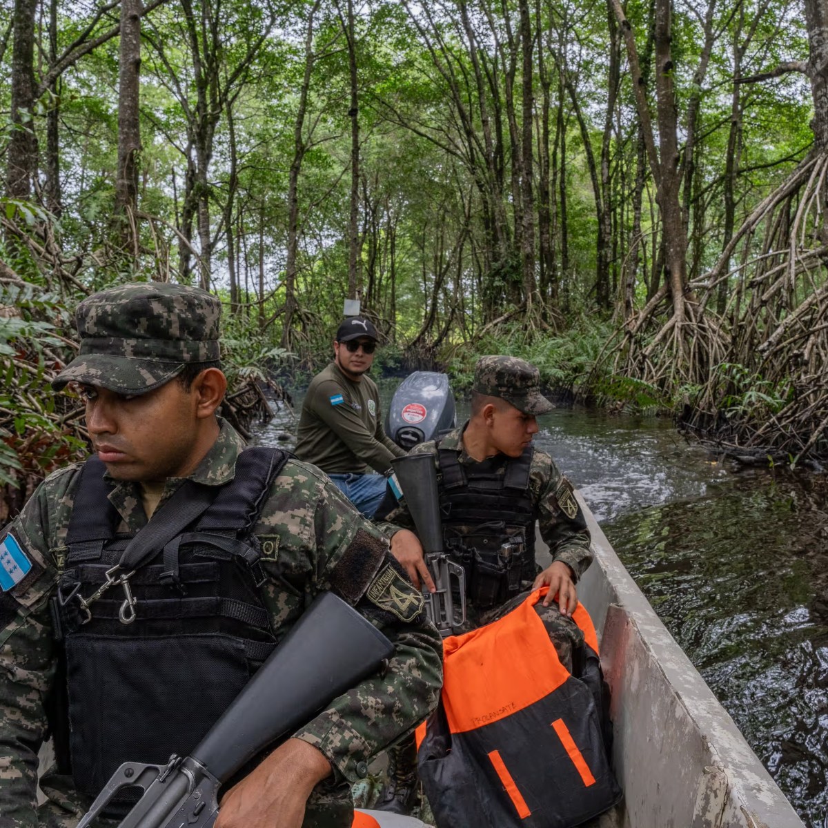 Deadly Harvest: How Demand for Palm Oil Fuels Corruption in&nbsp;Honduras