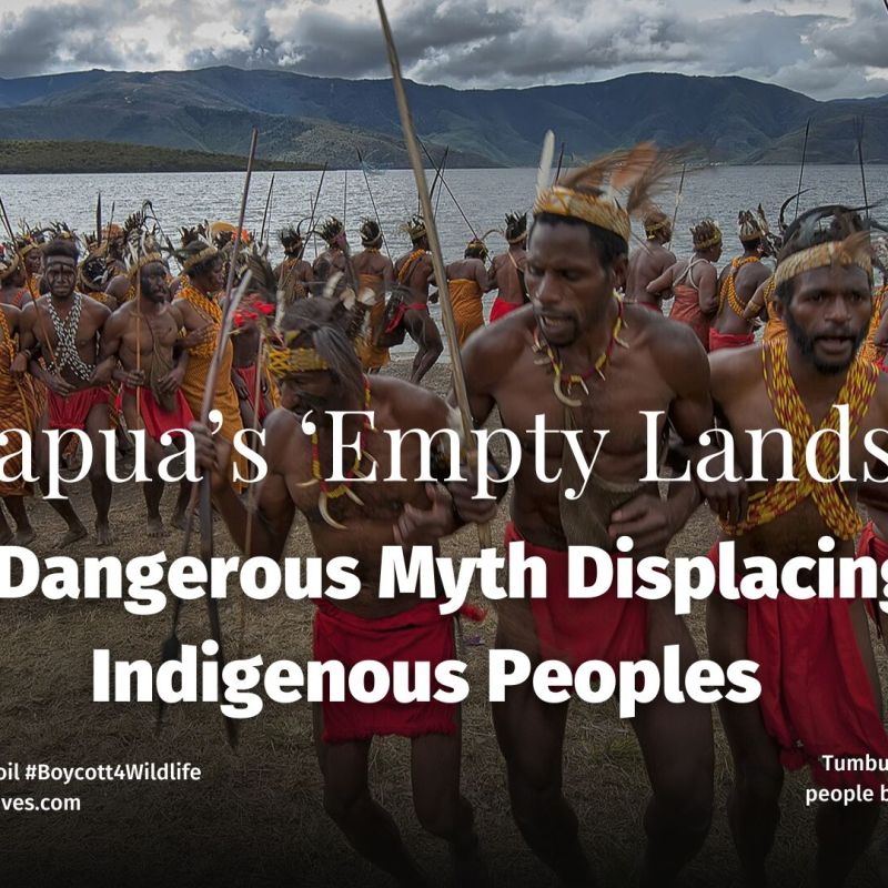 Papua’s ‘Empty Lands’: A Dangerous Myth Displacing Indigenous&nbsp;Peoples